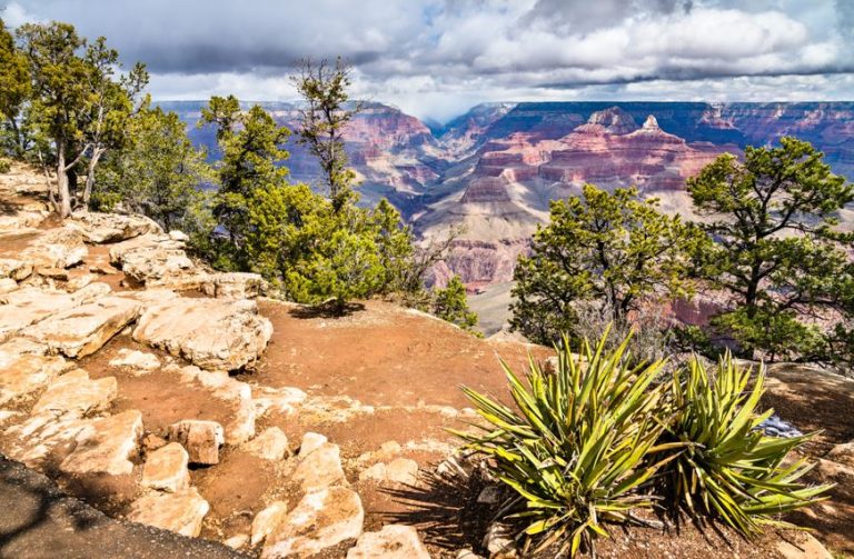 Discovering the Grand Canyon’s Natural Wonders