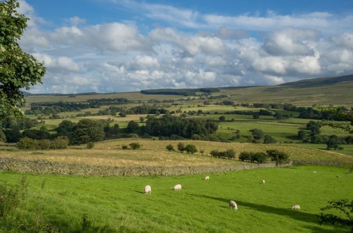 Countryside of the Lake District