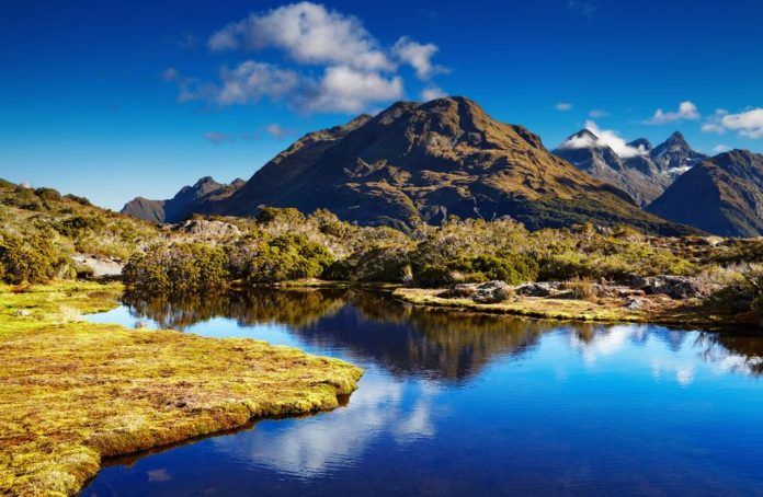 Small lake at the Key Summit, Routeburn track, New Zealand