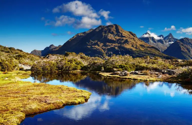 Unveiling Fiordland, New Zealand: Mother Nature’s Best-Kept Secret