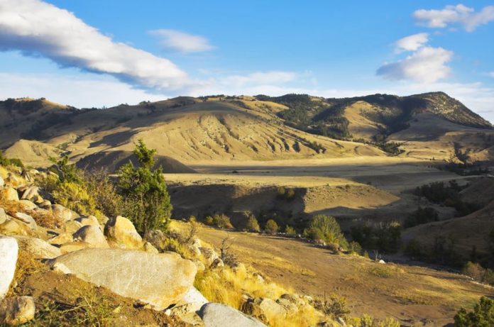 Yellowstone National Park