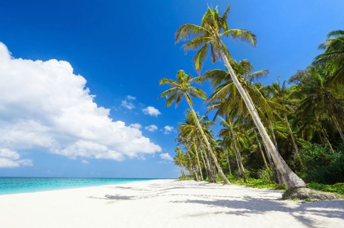 beautiful Caribbean beach